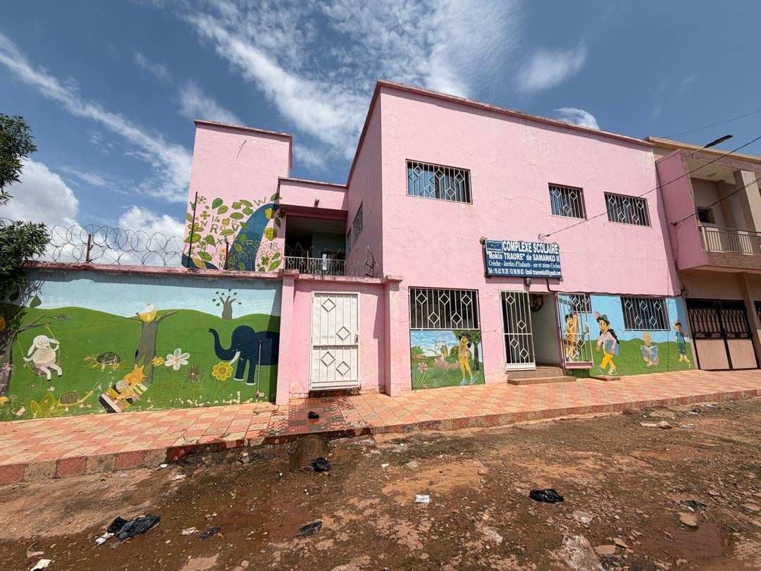 Façade rose du Complexe scolaire Rokia Traoré avec fresques d'animaux, ciel bleu et portail principal à Samanko II, Bamako